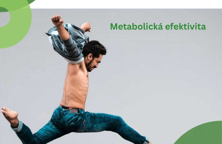 Metabolická efektivita