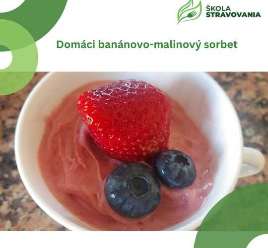 Domáci malinový sorbet